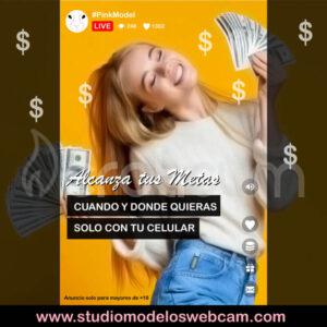 TRABAJA DESDE TU CASA, TRANSMITE EN LINEA